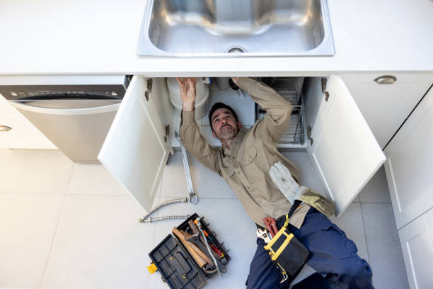 Best Plumbing Inspection Services  in Hebbronville, TX