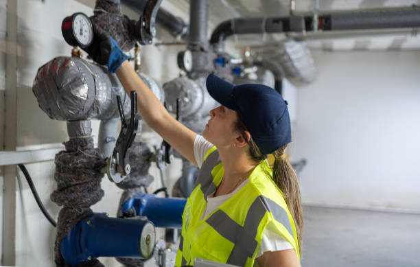 Best Emergency Plumbing Repair  in Hebbronville, TX