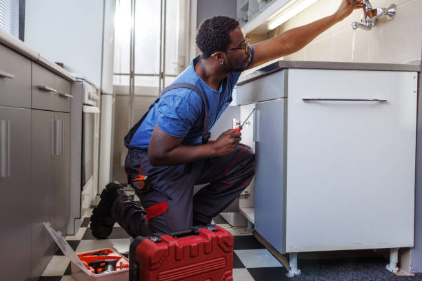 Best Commercial Plumbing Services  in Hebbronville, TX